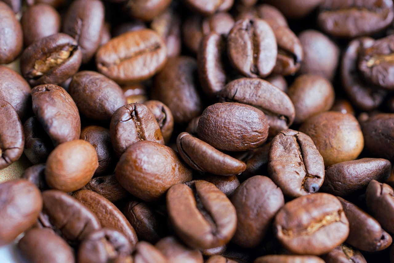 Vietnam green coffee beans - Robusta Screen