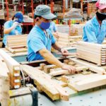 The timber industry aims for $25 billion in revenue by 2026. (Photo: IT)