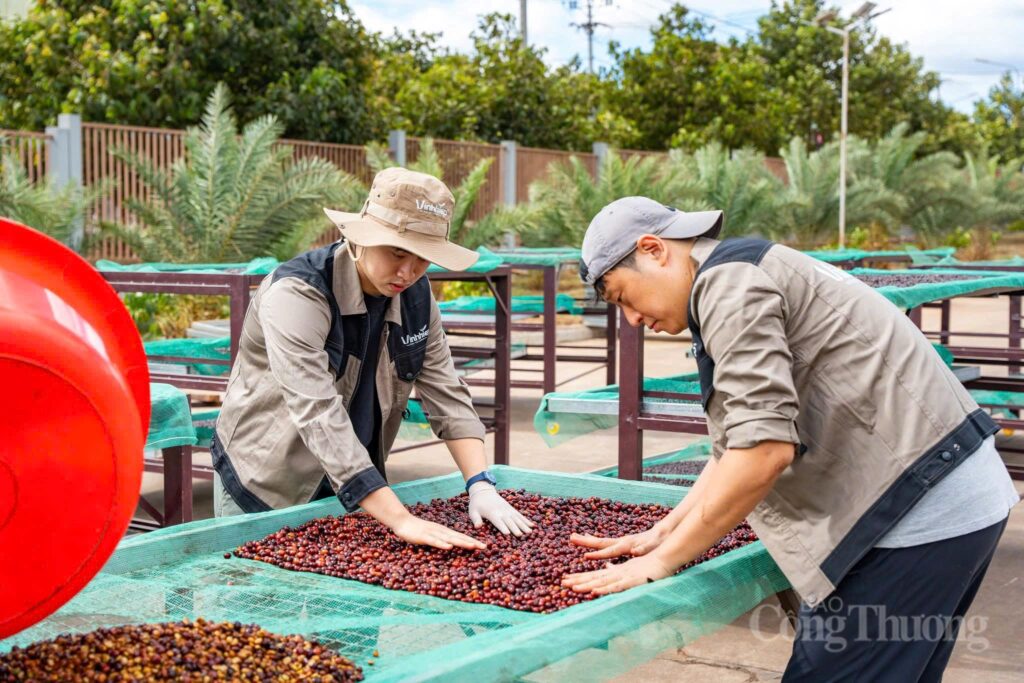 The circular economy model is also set as the overarching theme, connecting everything from coffee production to organic fertilizers, green energy, and experiential tourism.