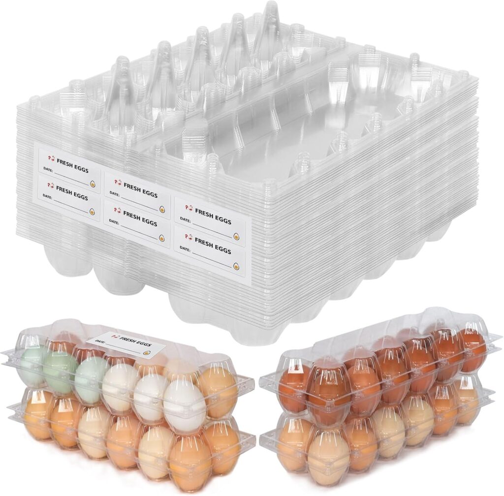 12 Count Clear Egg Cartons