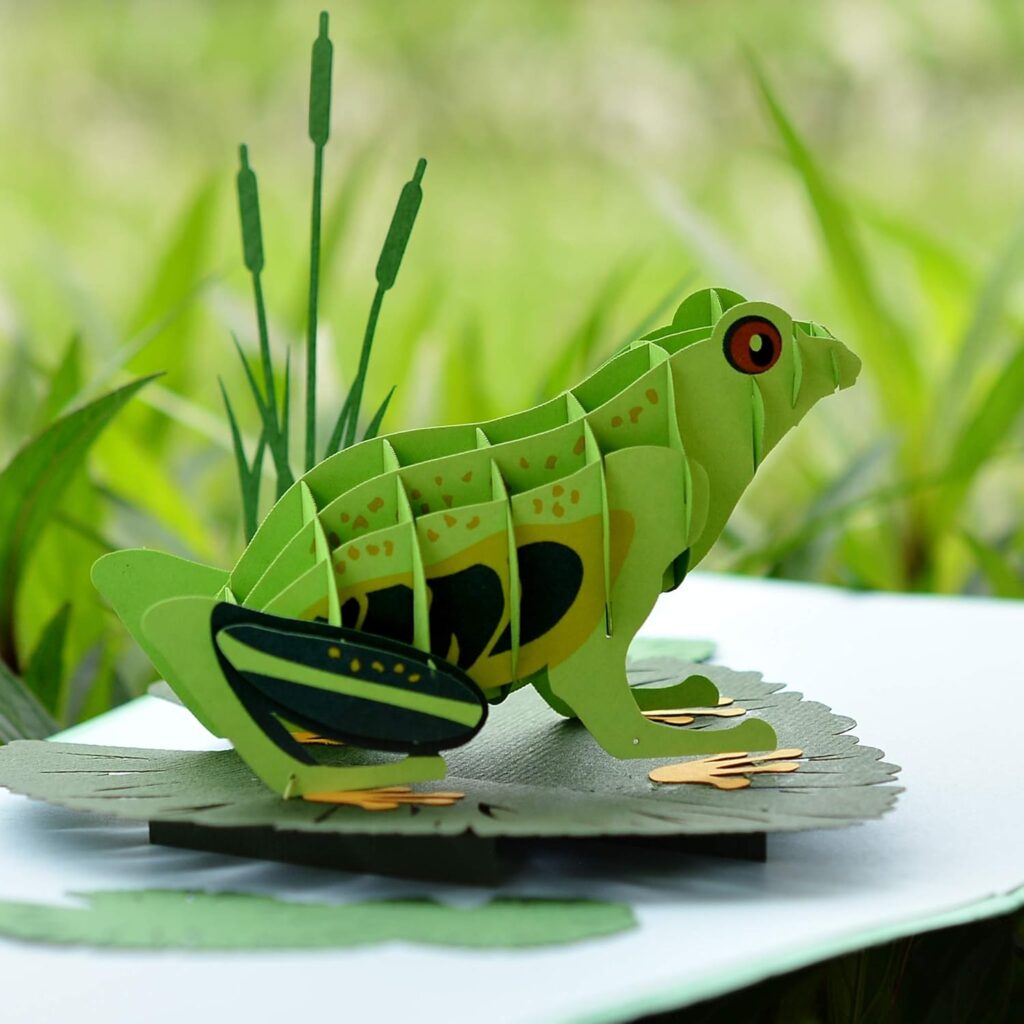 Frog Pop Up Cards