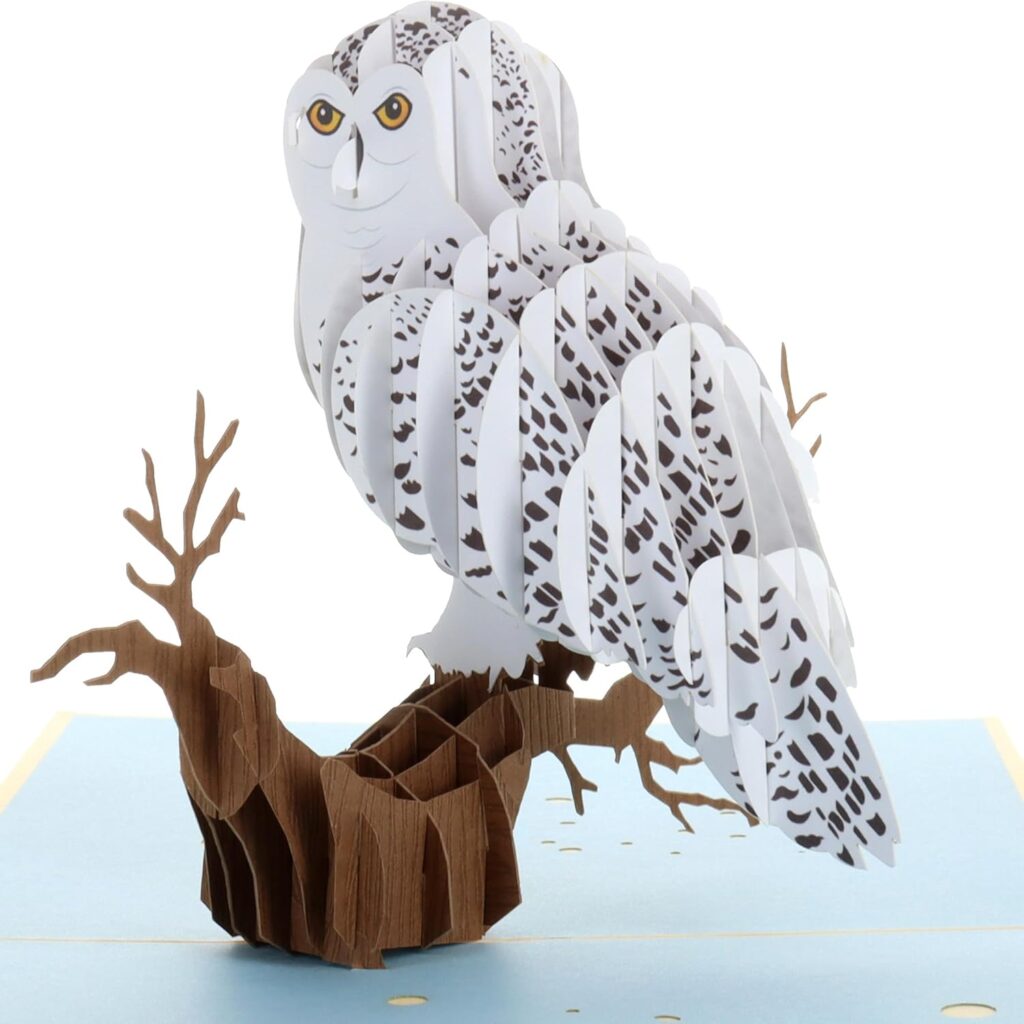Owl Pop Up Cards