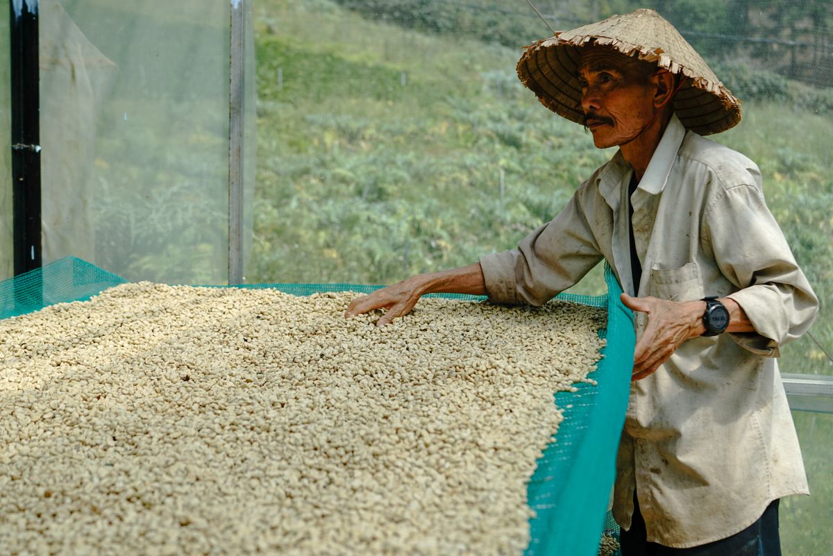 How to Source Vietnamese Coffee for B2B Import in 2026: Robusta, Arabica, MOQ & Certifications