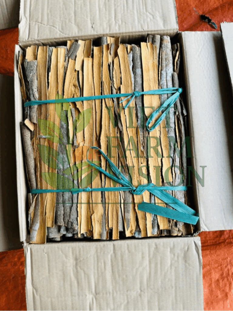 Wholesale Broken Cinnamon and Powder Vietnam