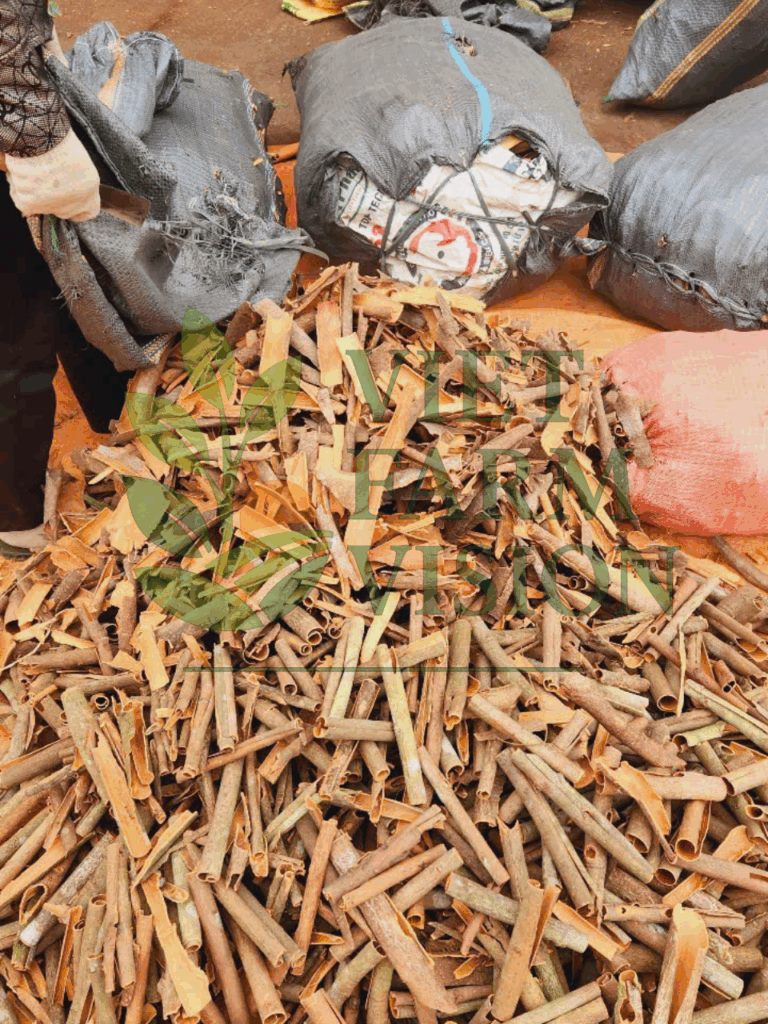 Vietnam Cinnamon Supplier - Viet Farm Vision Export Portfolio