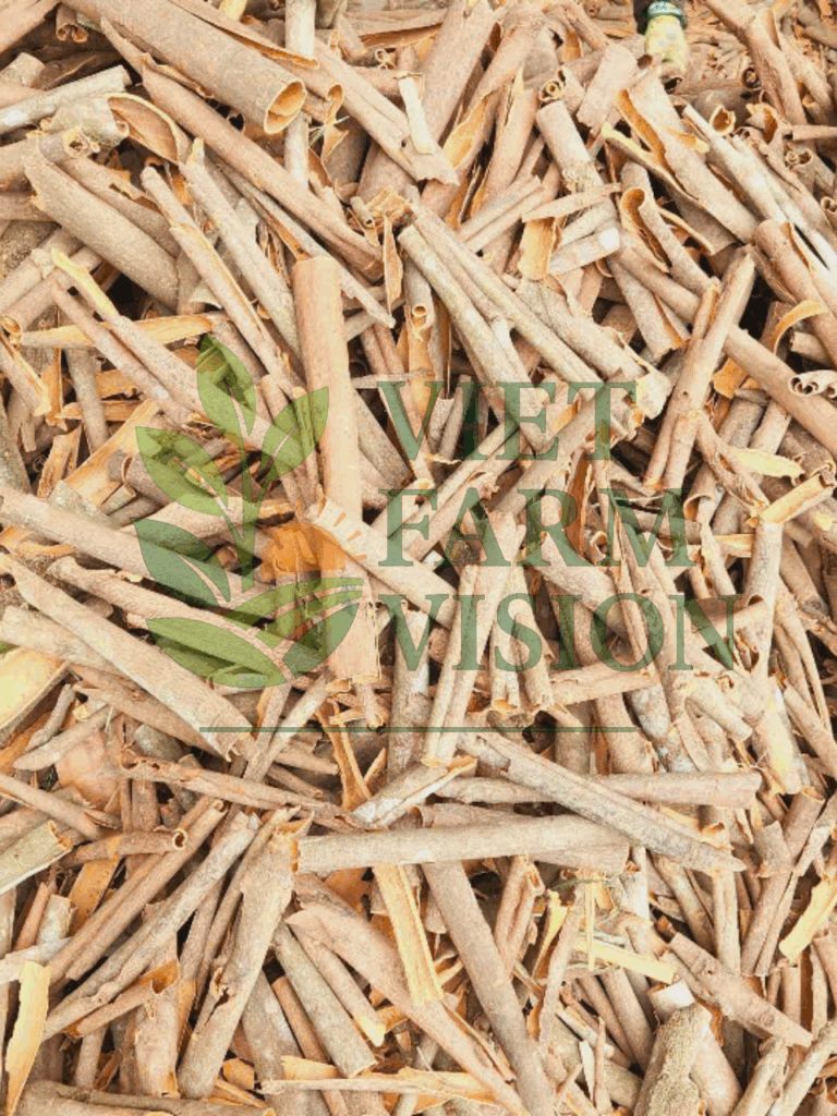 Vietnam Cinnamon Supplier - Viet Farm Vision Export Portfolio