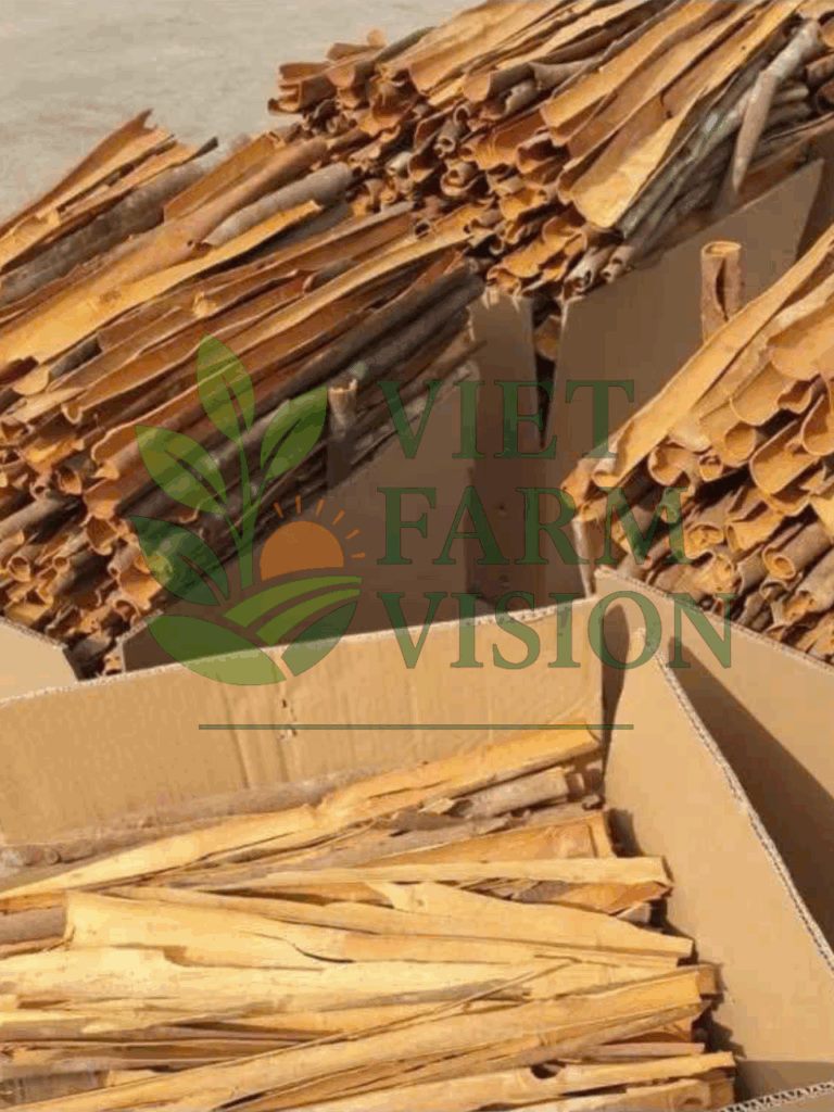 Vietnam Cinnamon Supplier - Viet Farm Vision Export Portfolio