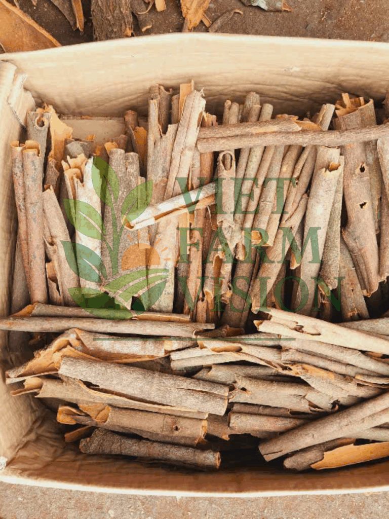 Vietnam Cinnamon Supplier - Viet Farm Vision Export Portfolio