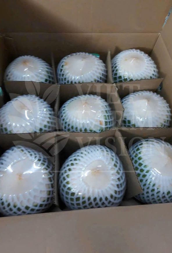 COCONUT WITH CONE - VIET FARM VISION