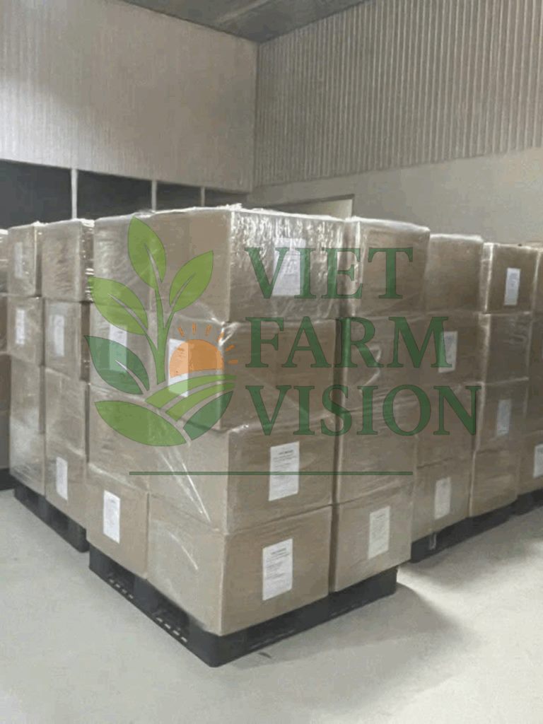 Vietnam coffee supplier – Robusta & Arabica bulk export
