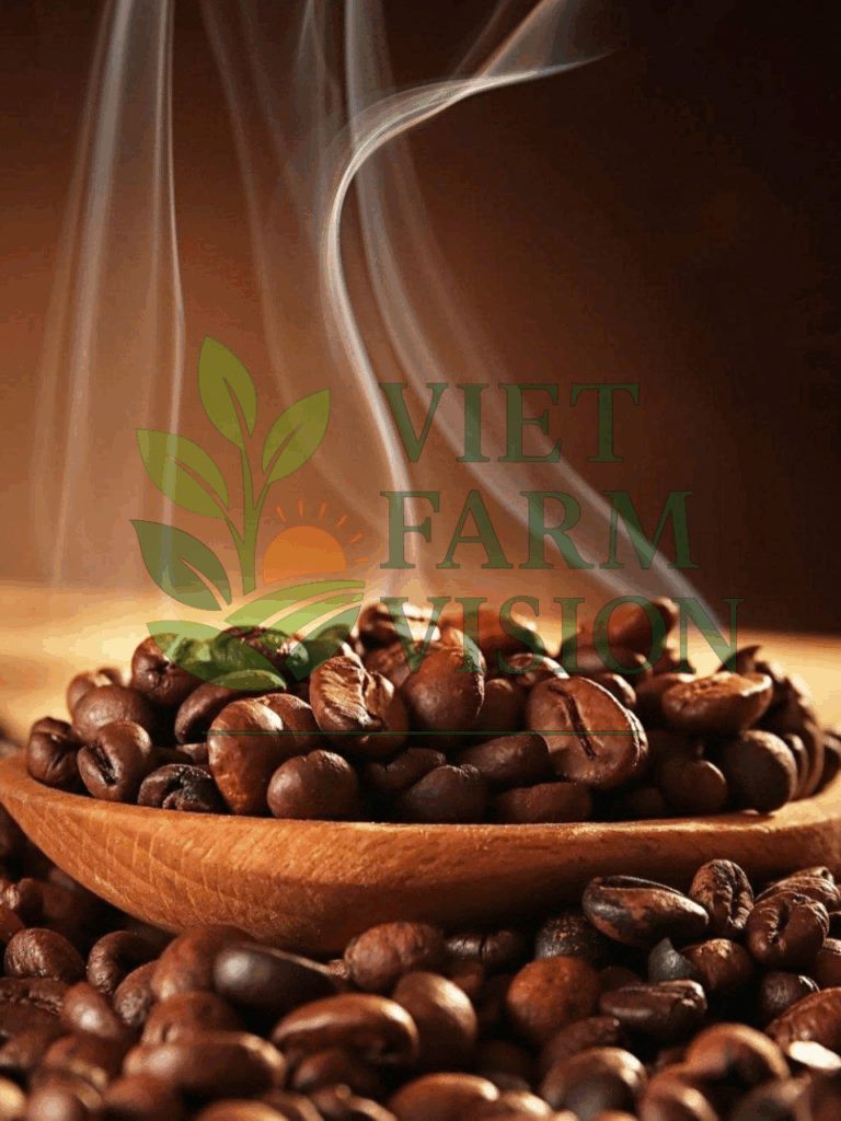 Premium roasted Arabica coffee beans Vietnam - Viet Farm Vision