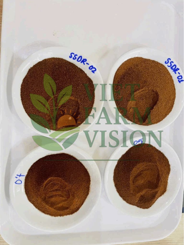 Vietnam coffee supplier – Robusta & Arabica bulk export
