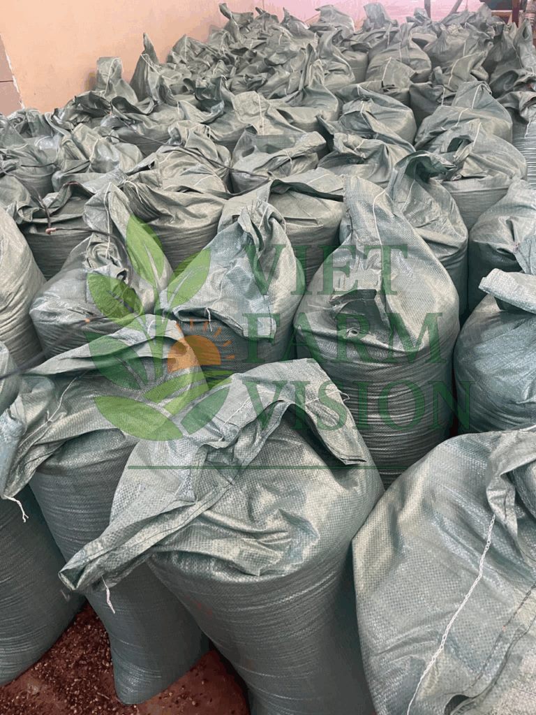 Vietnam coffee supplier – Robusta & Arabica bulk export