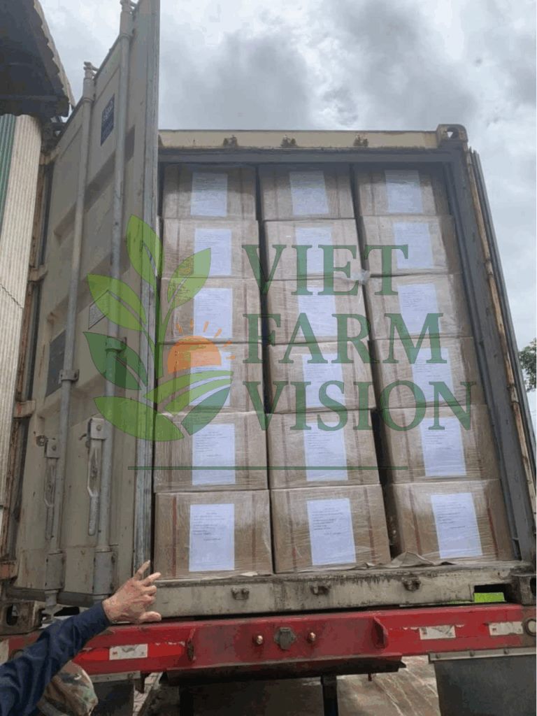 Vietnam coffee supplier – Robusta & Arabica bulk export