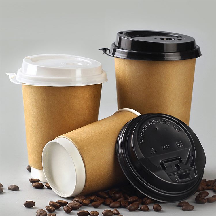 Disposable cups manufacturer Vietnam – eco-friendly compostable packaging