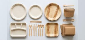 Flat-lay of Vietnam-made compostable disposable tableware: bagasse round plates and compartment tray, areca palm leaf plates, birch wooden cutlery, kraft paper bowls and plain kraft packaging